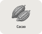 Cacao