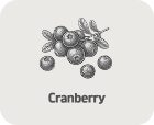 Cranberry